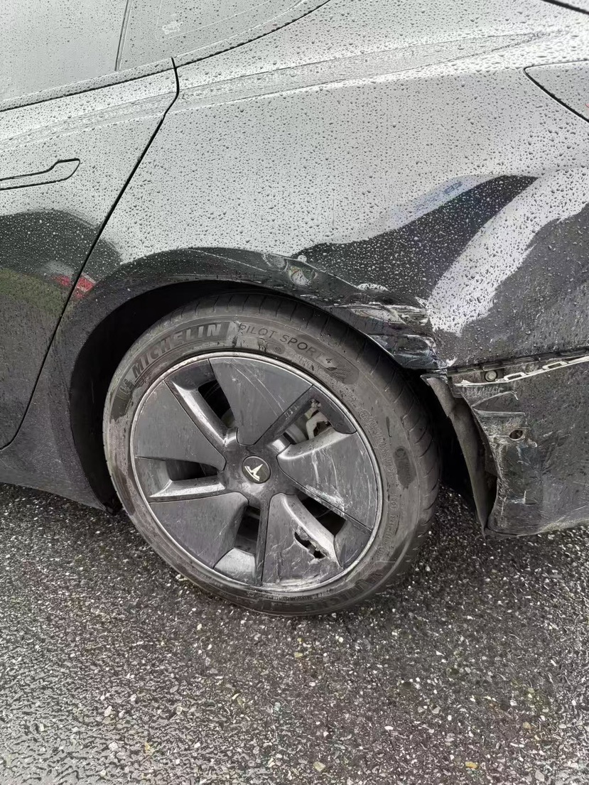 Tesla Model 3 2022 car image #8