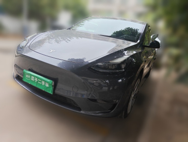 Tesla Model Y 2021 Tesla Model Y 2021 صورة سيارة