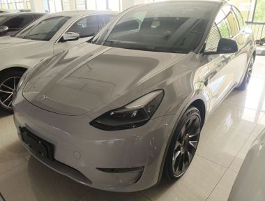 Tesla Model Y 2021 car image 