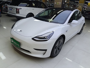 Tesla Model 3 2020 Tesla Model 3 2020 car image