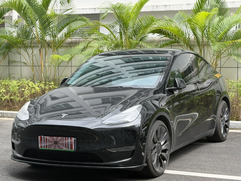 Tesla Model Y 2022 Tesla Model Y 2022 car image