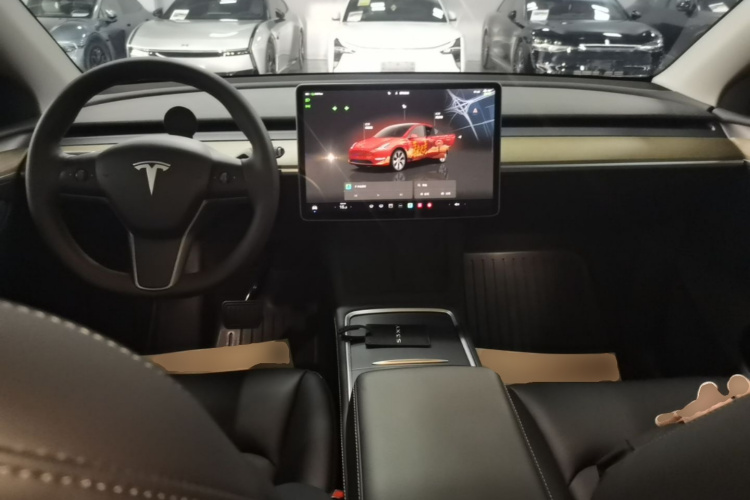 Tesla Model Y 2023 #10 Tesla Model Y 2023 car image #10
