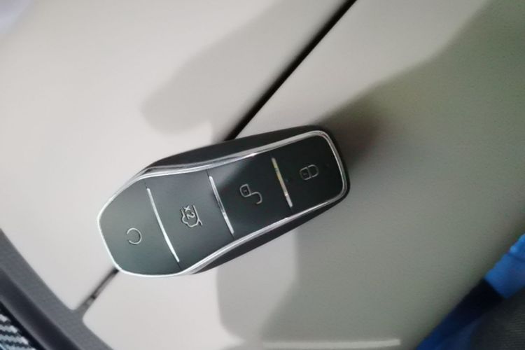 BYD Han 2024 #9 BYD Han 2024 imagen de coche #9