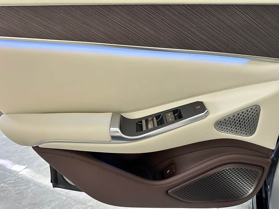 Denza Z9GT 2025 immagine di auto #37