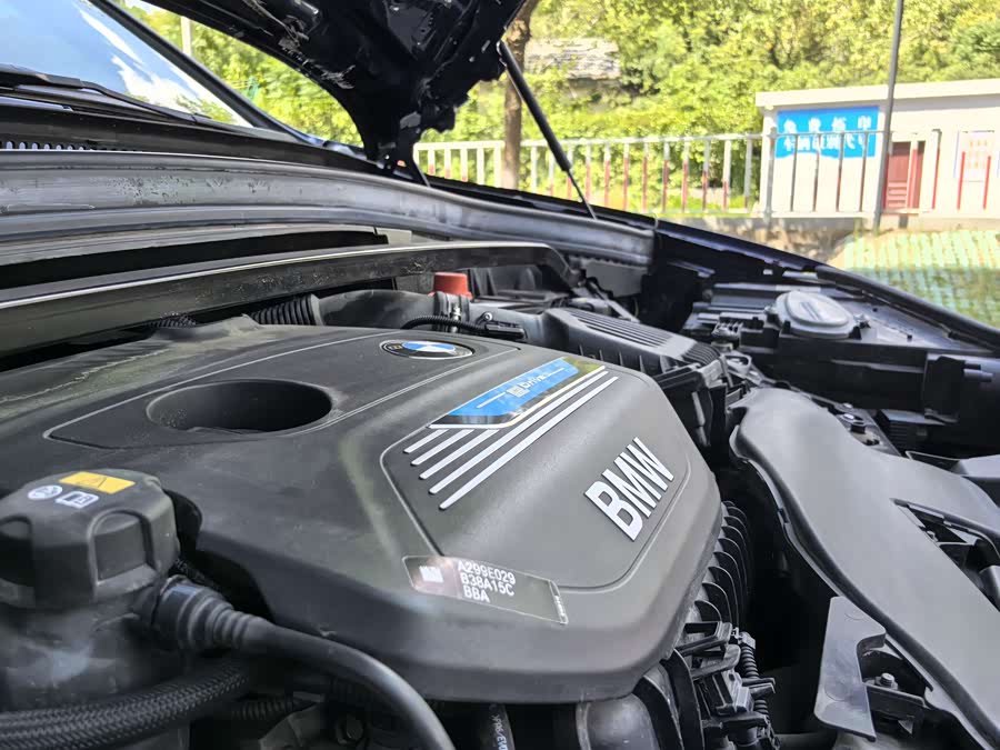 BMW X1 New Energy 2020 car image #37