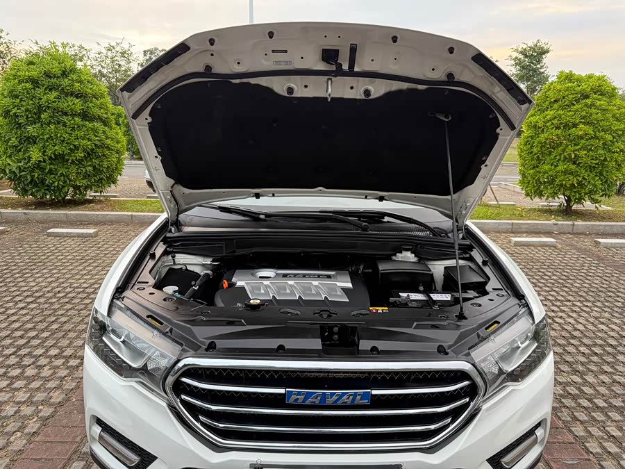 Haval H6 Coupe 2015 car image #37