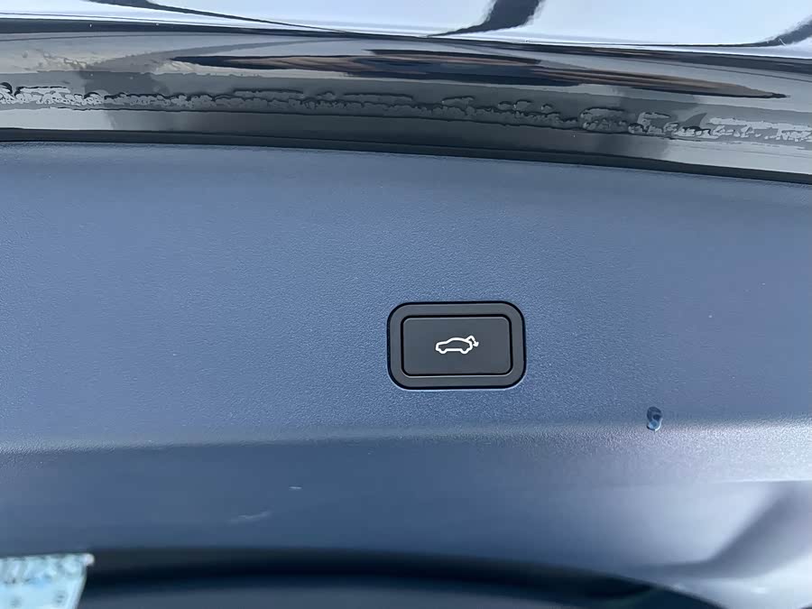 Zeekr 009 2024 imagen de coche #37