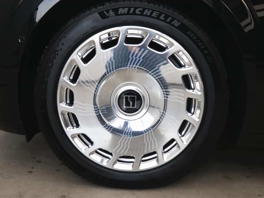 极氪 极氪009 2024 汽车图片 #37