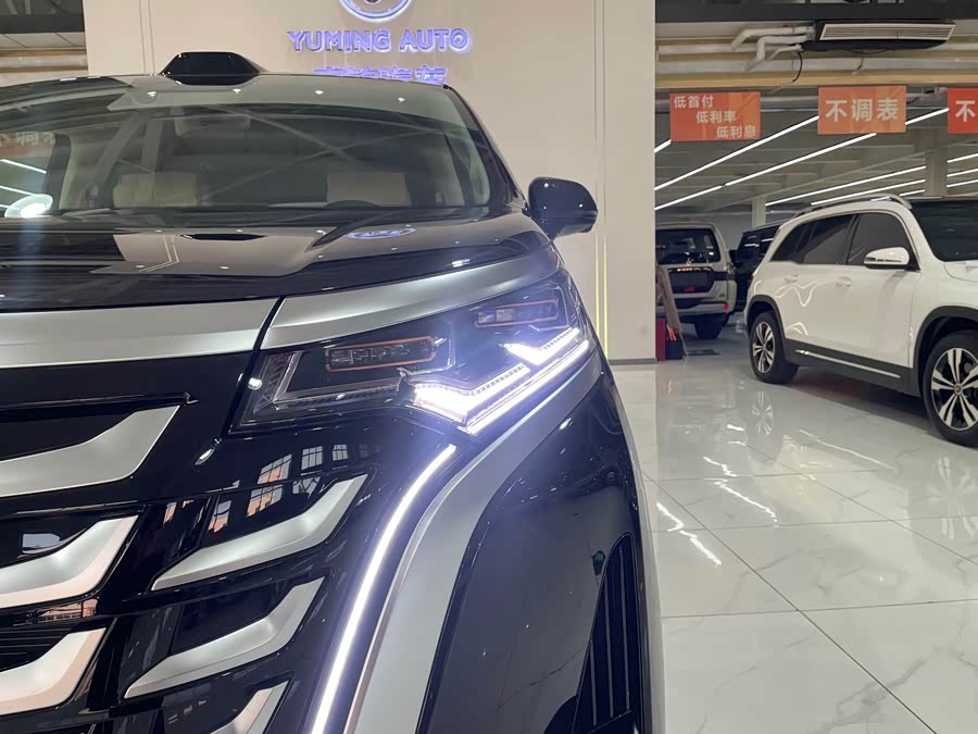 Denza D9 2025 imagen de coche #37