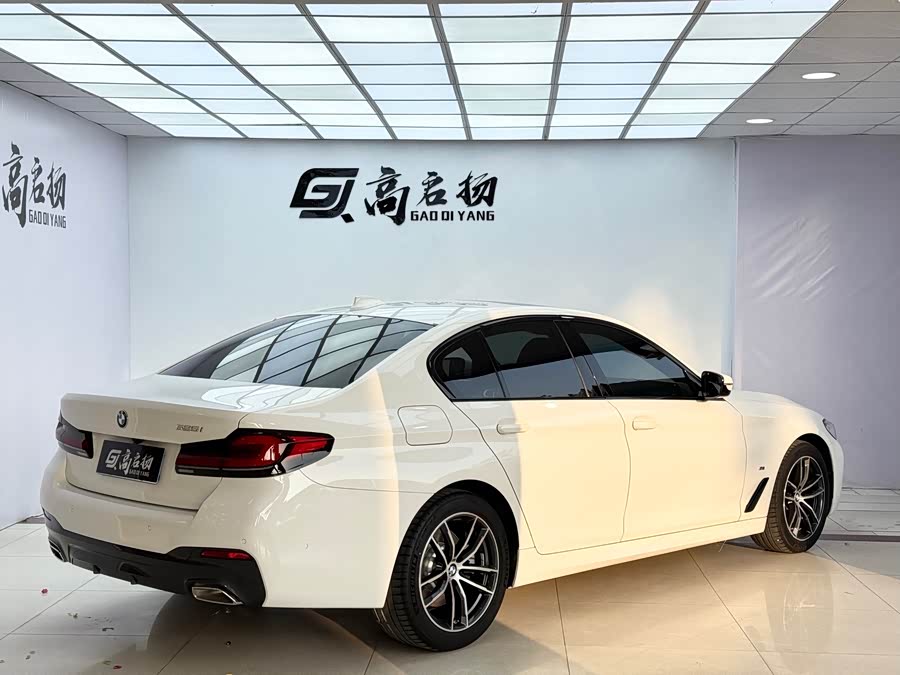 BMW 5 Series (Imported) 2021 car image #37