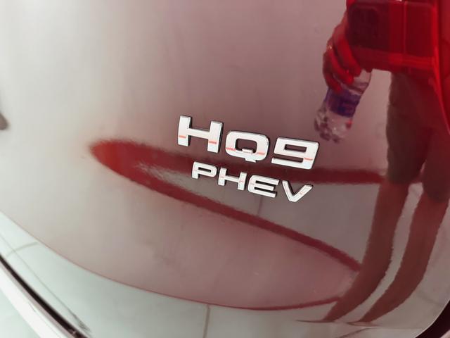 HongQi HQ9 PHEV 2024 immagine di auto #37