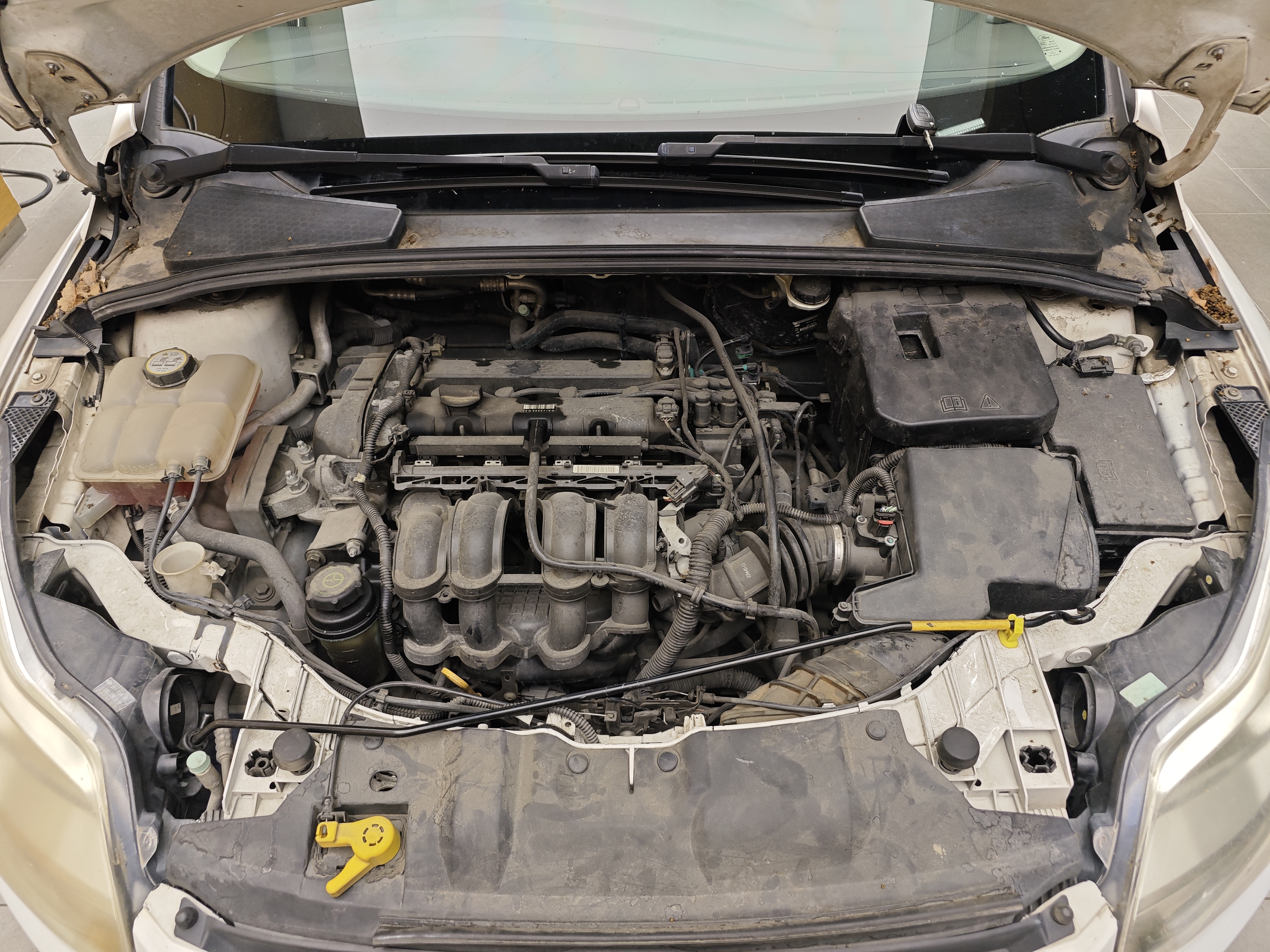 Ford Focus 2014 immagine di auto #37