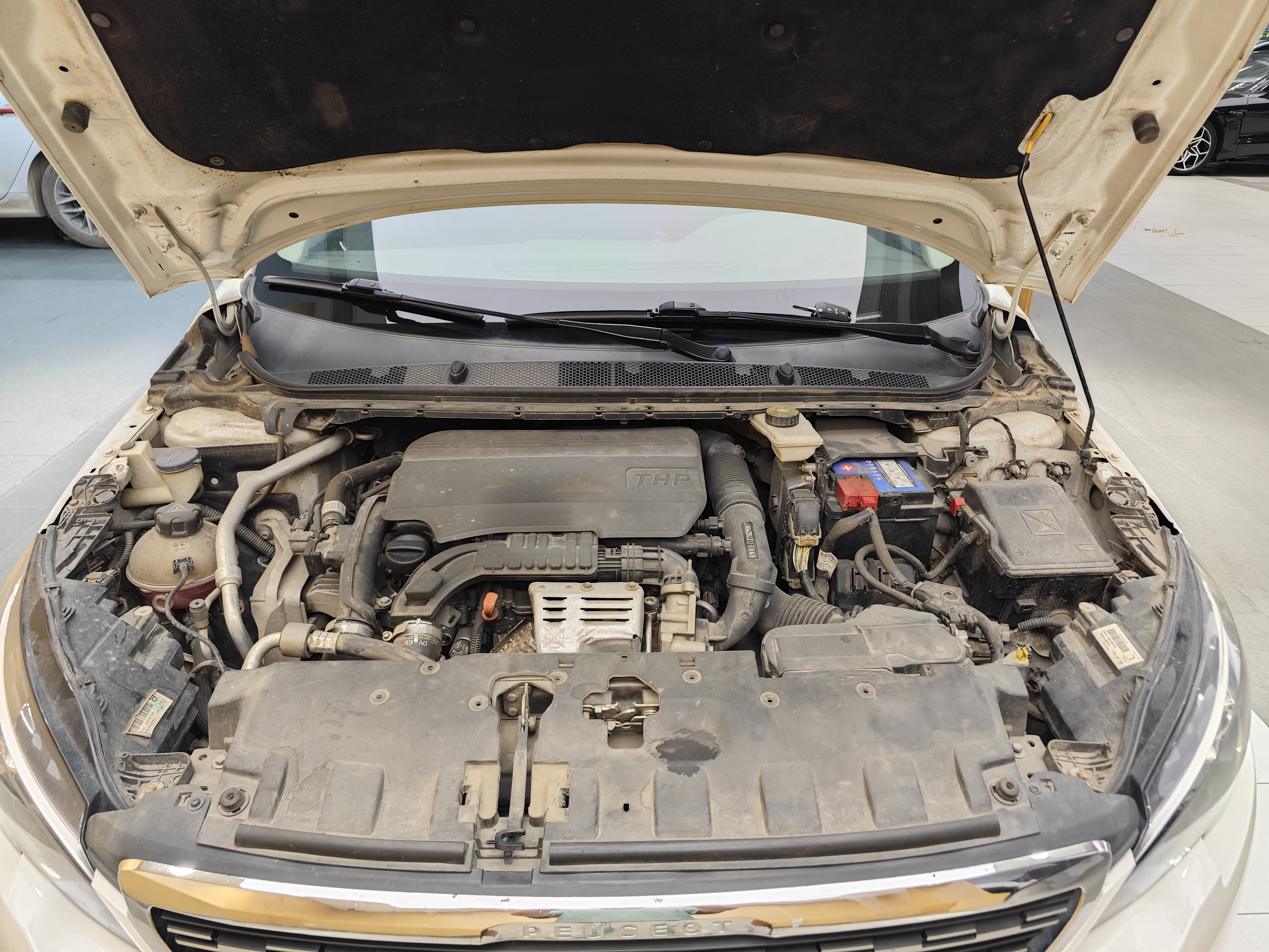 标致 标致308 2019 汽车图片 #37