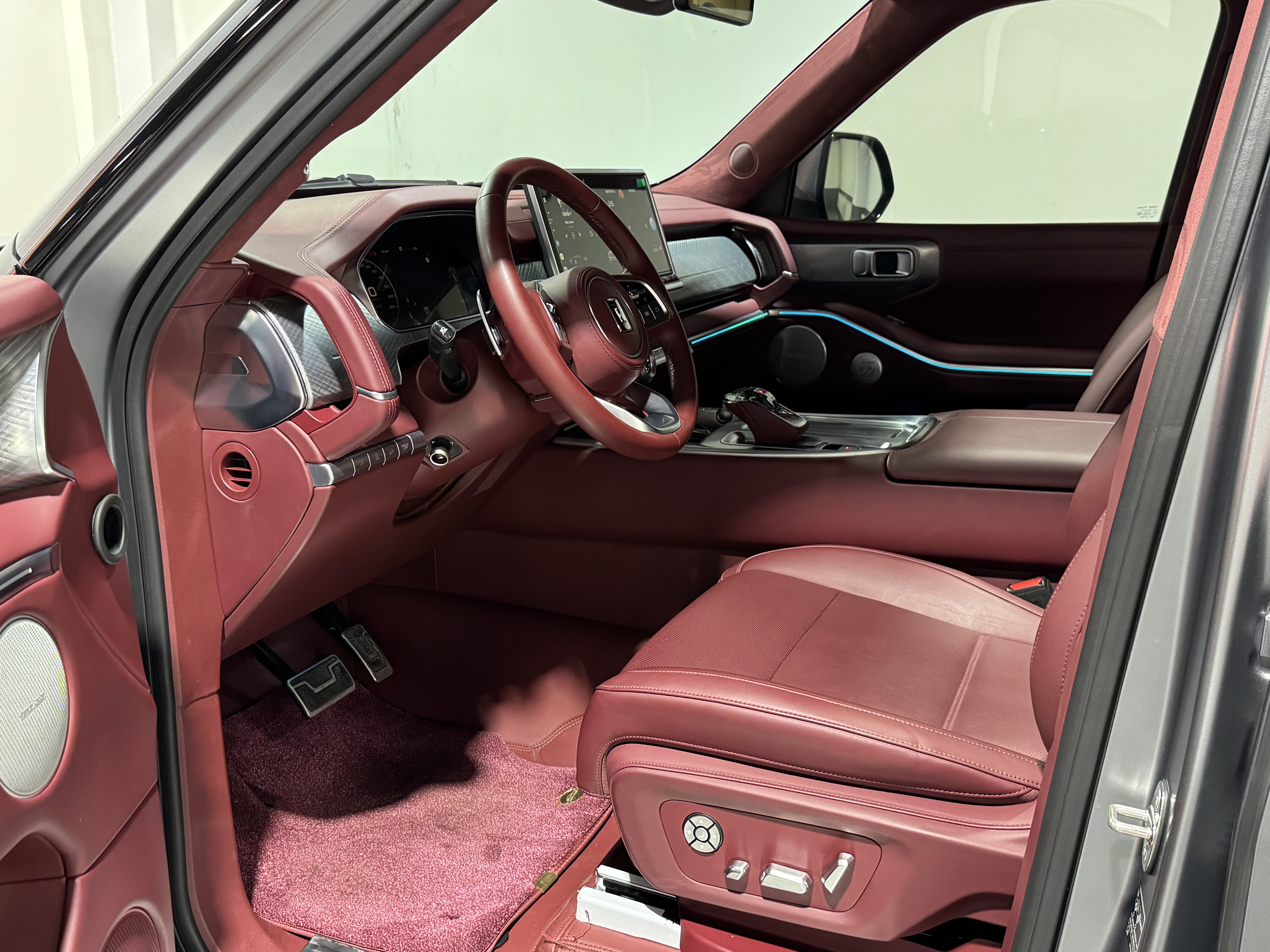 Tank 700 New Energy 2024 immagine di auto #37