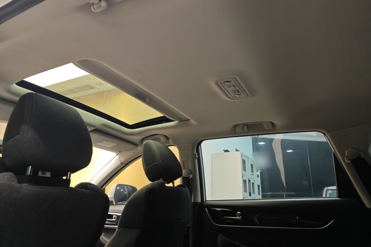 T5 2019 car image #37