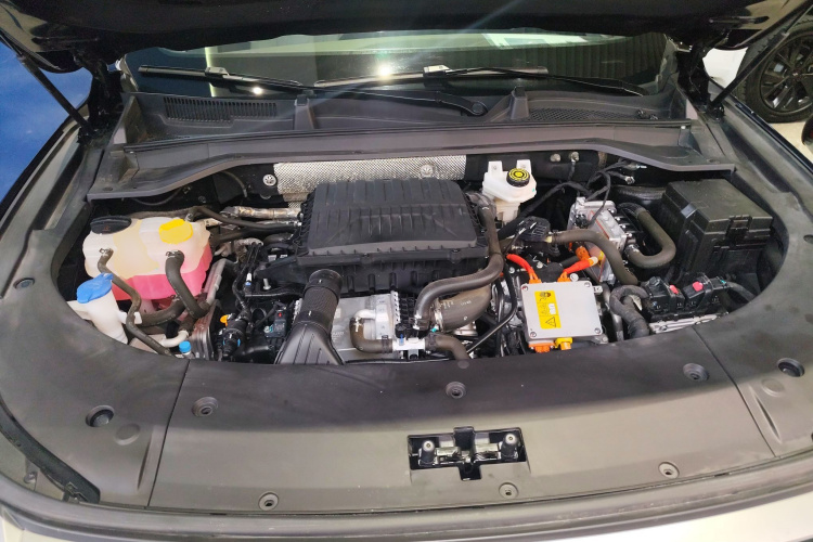 Exceed Yaoguang C-DM 2024 car image #37