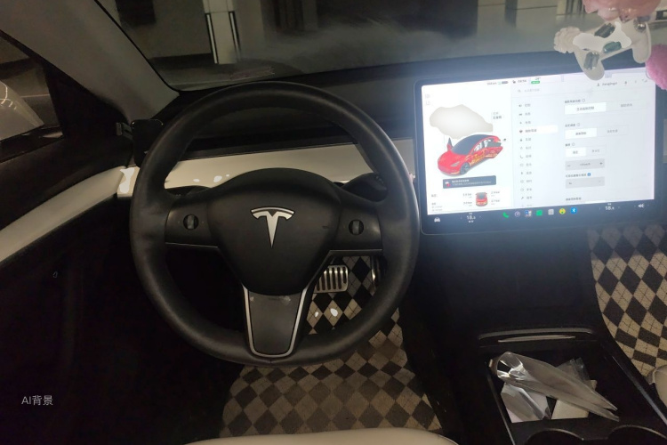 Tesla Model 3 2021 immagine di auto #12