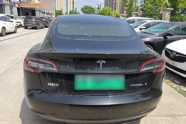 Tesla Model 3 2023 #6 Tesla Model 3 2023 car image #6