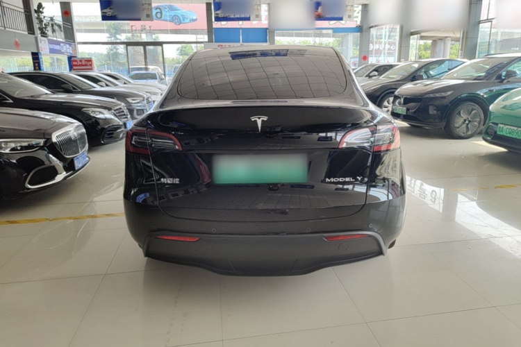 Tesla Model Y 2023 #6 Tesla Model Y 2023 car image #6