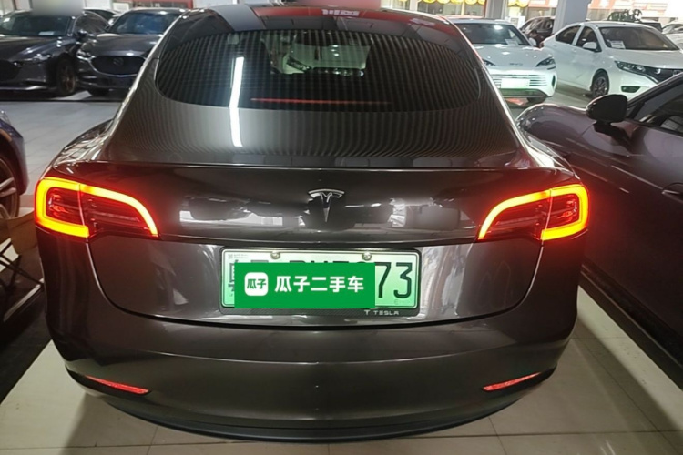 Tesla Model 3 2022 car image #6