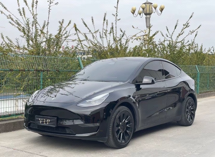 Tesla Model Y 2021 Tesla Model Y 2021 car image