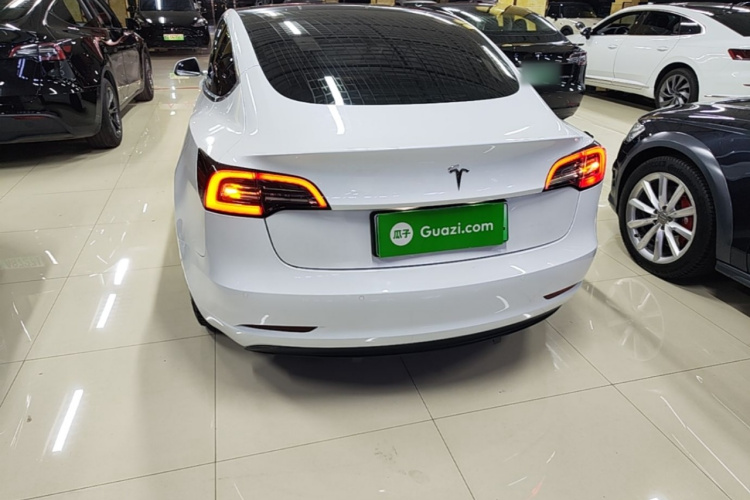 Tesla Model 3 2020 #6 Tesla Model 3 2020 car image #6