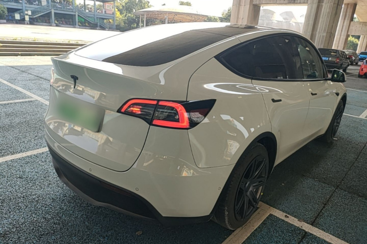 Tesla Model Y 2023 #7 Tesla Model Y 2023 car image #7