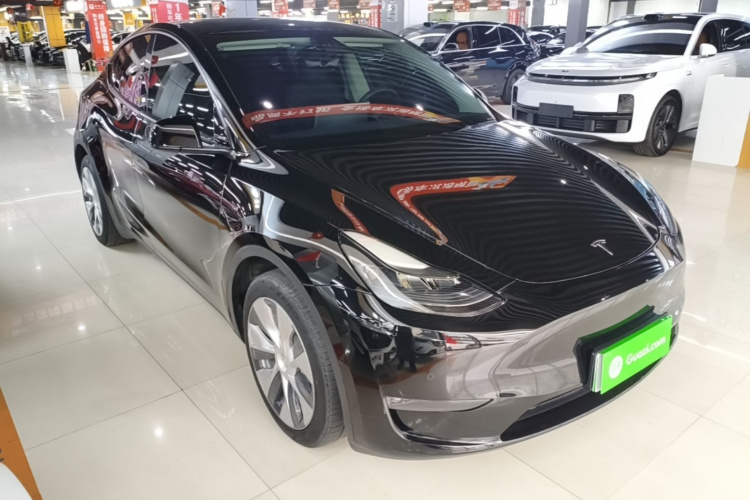 Tesla Model Y 2021 car image #6