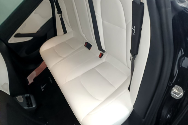 Tesla Model 3 2020 car image #17