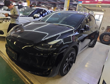 Tesla Model Y 2021 Tesla Model Y 2021 car image