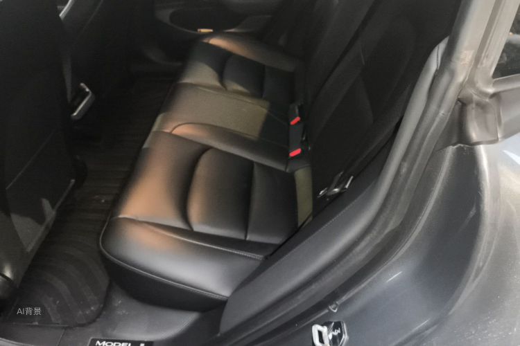 Tesla Model 3 2020 car image #19