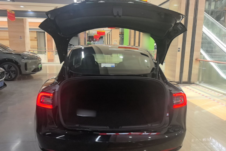 Tesla Model 3 2021 #19 Tesla Model 3 2021 car image #19