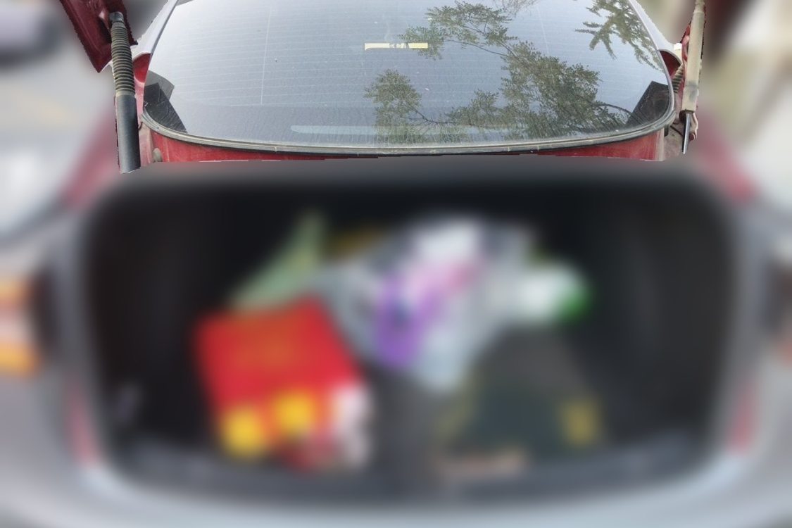 Tesla Model 3 2022 #8 Tesla Model 3 2022 car image #8
