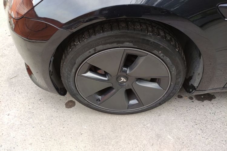 Tesla Model 3 2021 imagem de carro #9