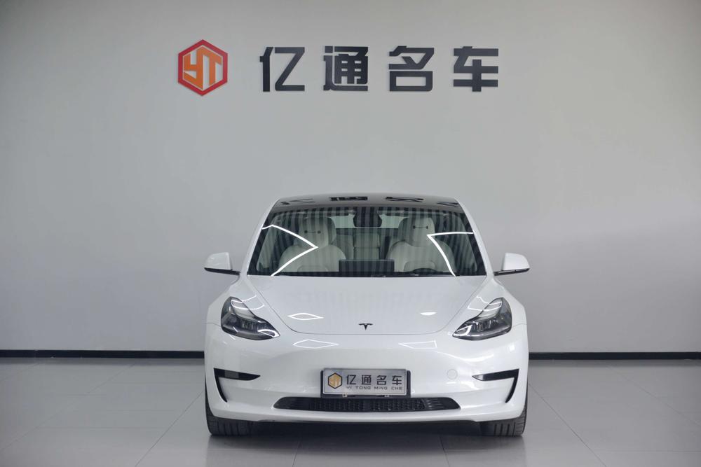 Tesla Model 3 2021 imagem de carro #2