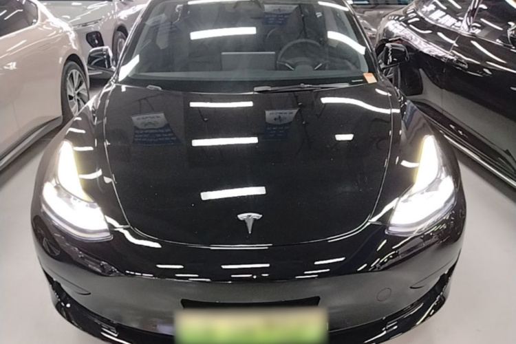 Tesla Model 3 2021 #3 Tesla Model 3 2021 car image #3