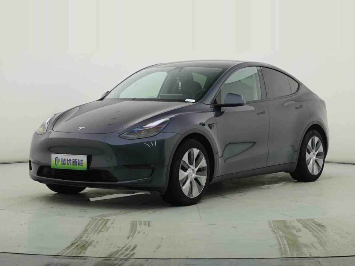 Tesla Model Y 2021 Tesla Model Y 2021 car image