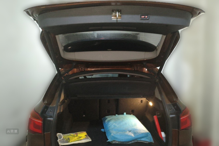 BMW X1 2017 car image #21