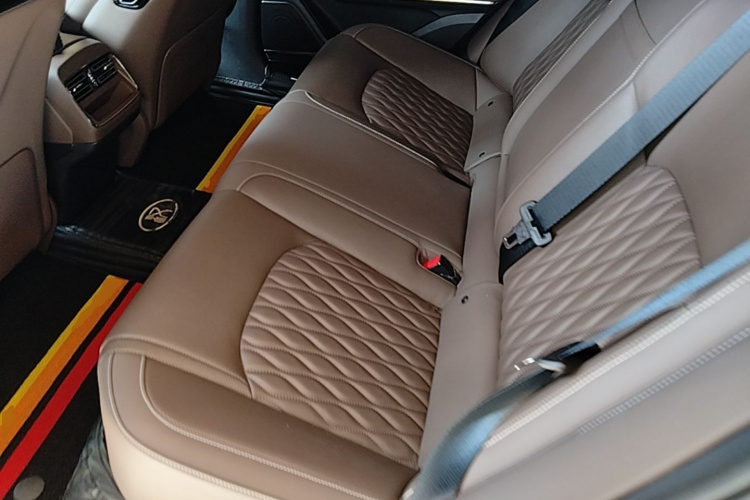 BYD Han 2022 car image #13