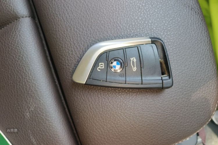 BMW X1 2021 car image #10