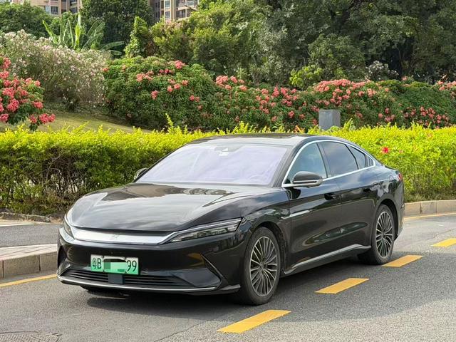 BYD Han 2020 car image #10