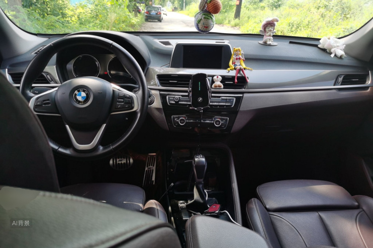 BMW X1 2019 car image #11