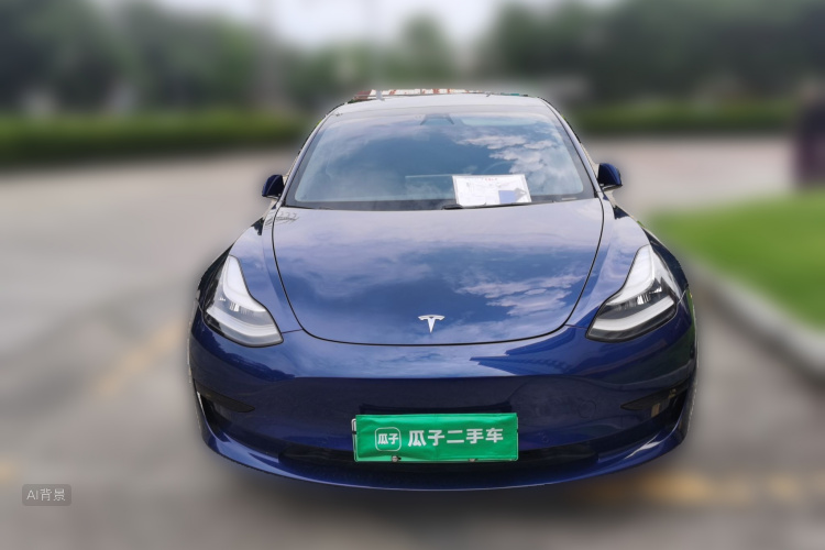 Tesla Model 3 2020 #3 Tesla Model 3 2020 car image #3