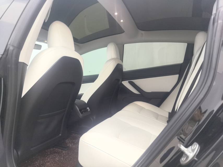 Tesla Model 3 2021 #6 Tesla Model 3 2021 car image #6