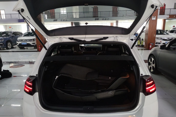 Volkswagen Golf 2019 #19 Volkswagen Golf 2019 car image #19