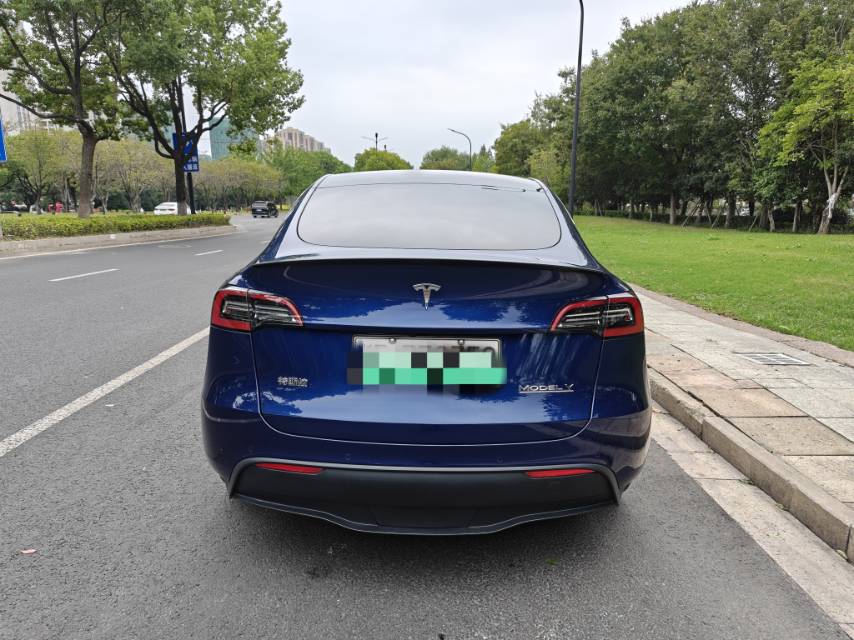 Tesla Model Y 2022 car image #4