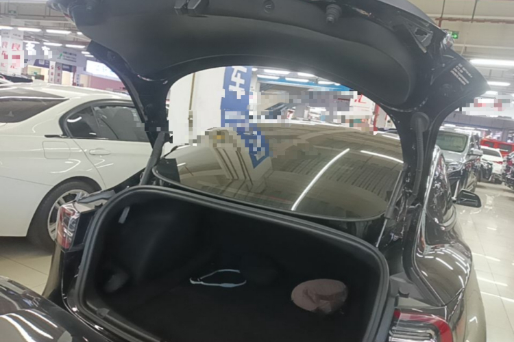 Tesla Model 3 2022 immagine di auto #25