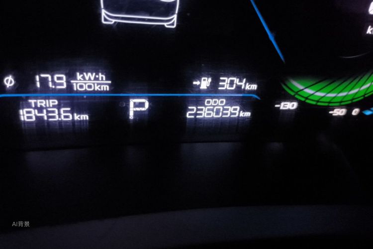GEELY Emgrand New Energy 2022 car image #14