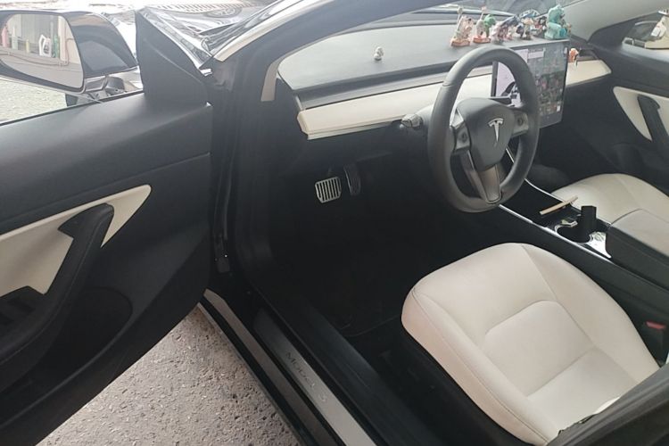 Tesla Model 3 2020 car image #16