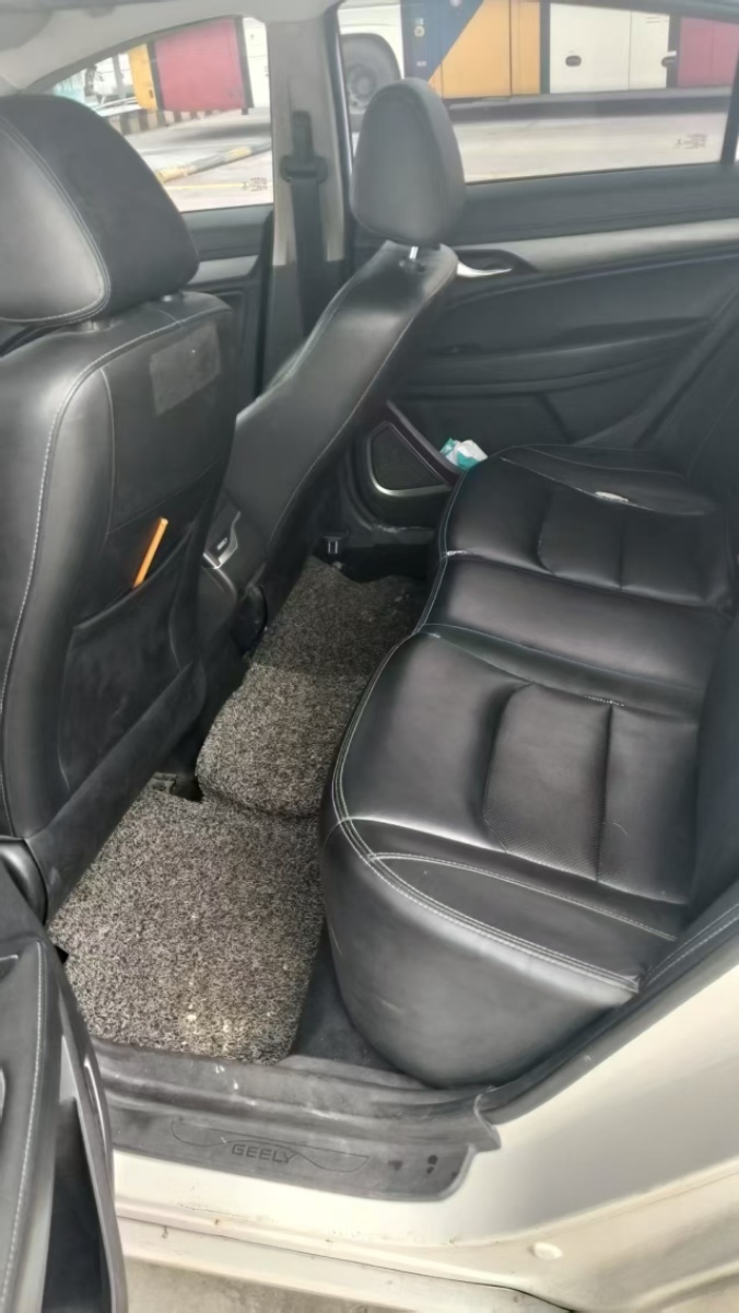 GEELY Emgrand New Energy 2019 car image #4